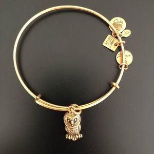 Alex and Ani Owl Bangle